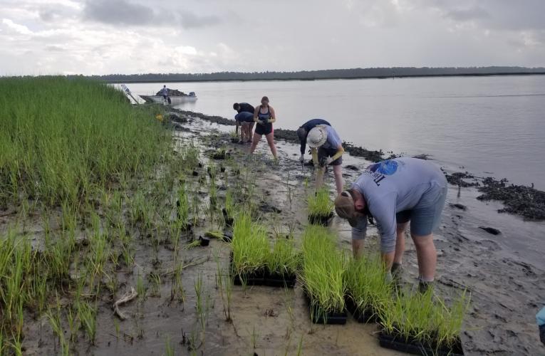 restoring the oceans